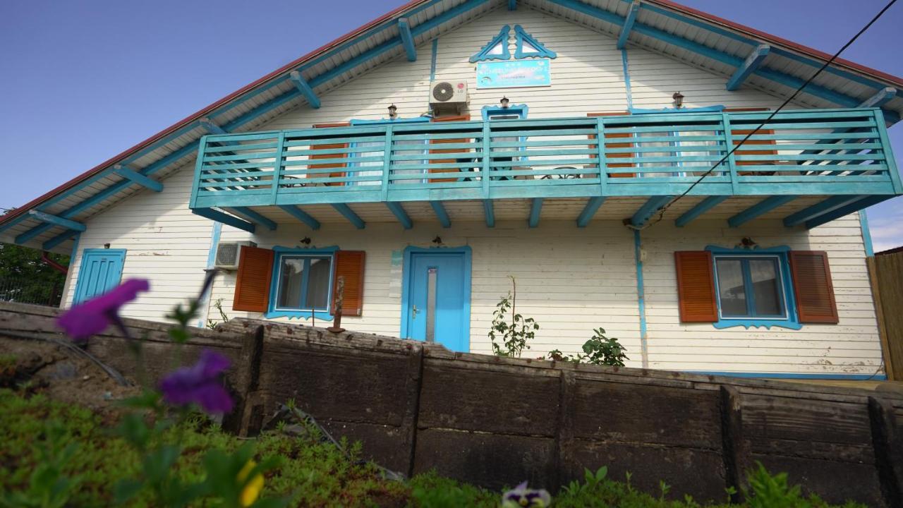 Dunavăţu de Jos Pensiunea Yogi מראה חיצוני תמונה