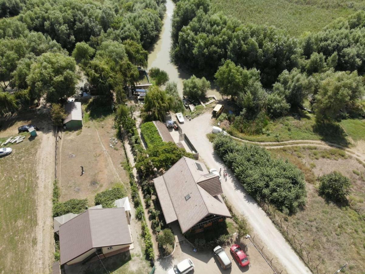Dunavăţu de Jos Pensiunea Yogi מראה חיצוני תמונה